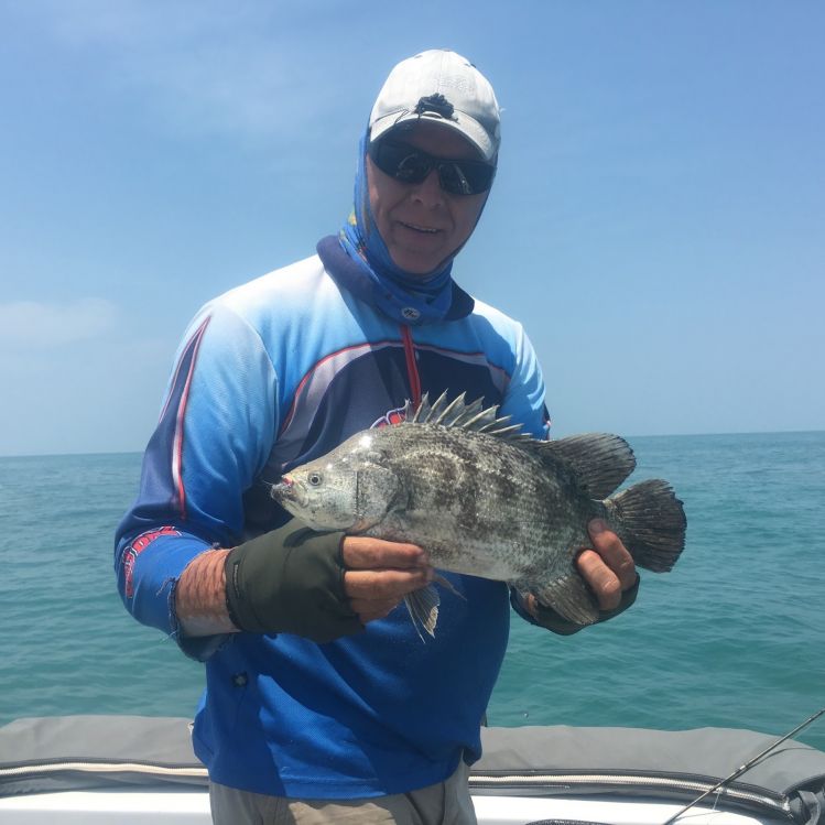 Lobotes surinamensis - Common name Tripletail - first of this species i have caught in Darwin NT

