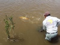 Foto de pesca con mosca