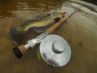 Fly fishing picture