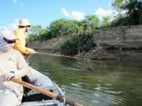 Fly fishing picture