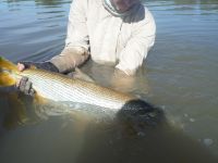 Foto de pesca con mosca