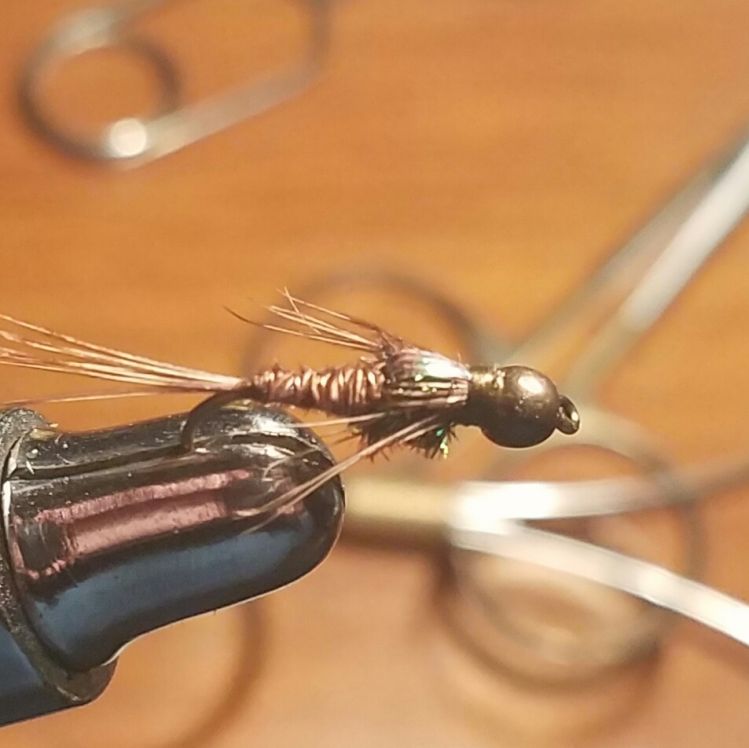 I call it the "Depth Charge"...BH Pheasant Tail variation...weighted with a lead wrap underbody and a brass bead.