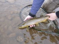 Foto de pesca con mosca