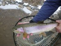 Foto de pesca con mosca