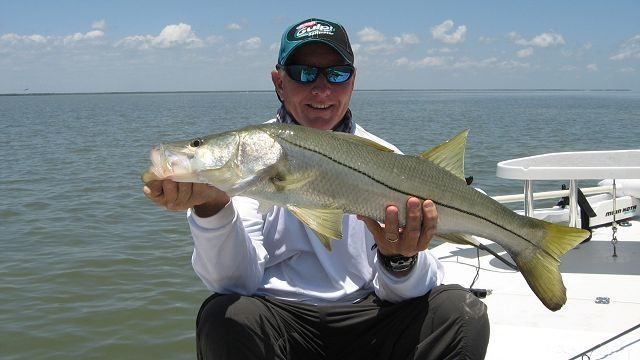 Snook on the flats. 