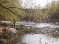 Foto de pesca con mosca