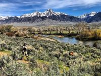 Fly fishing picture