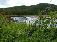 Foto de pesca con mosca