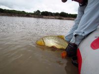 Foto de pesca con mosca