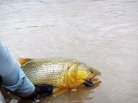 Foto de pesca con mosca