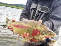 Foto de pesca con mosca