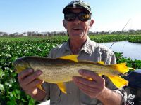 Foto de pesca con mosca