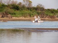 Foto de pesca con mosca