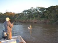 Foto de pesca con mosca