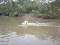 Foto de pesca con mosca