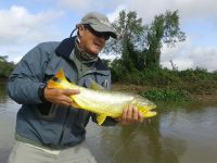 Foto de pesca con mosca