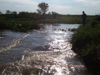 Foto de pesca con mosca