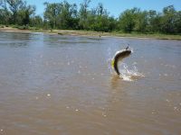 Foto de pesca con mosca