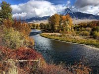 Fly fishing picture