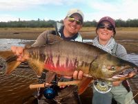 Fly fishing picture