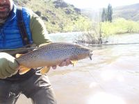 Foto de pesca con mosca