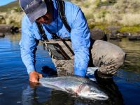 Fly fishing picture