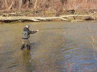 Fly fishing picture