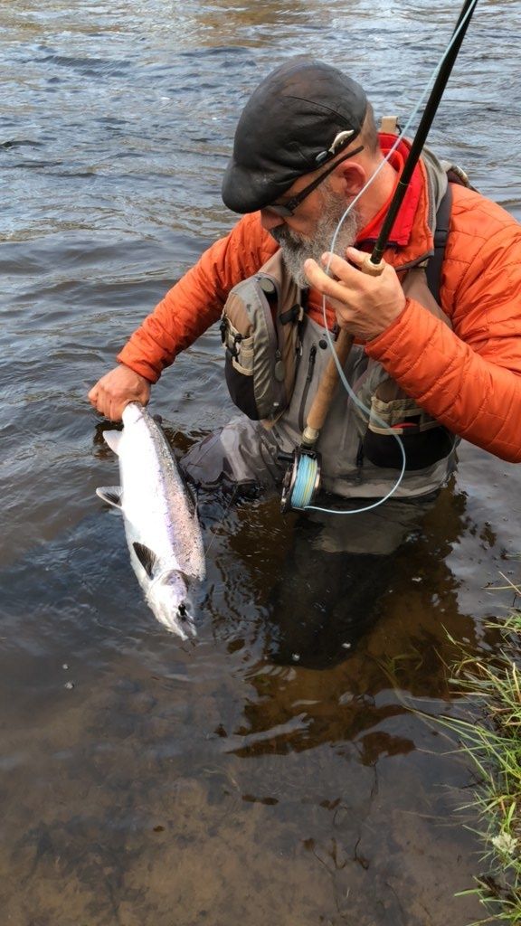 One of two 10bl springers caught on the same morning
