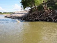 Foto de pesca con mosca