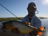 Foto de pesca con mosca