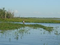 Foto de pesca con mosca