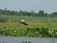 Foto de pesca con mosca