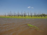 Foto de pesca con mosca