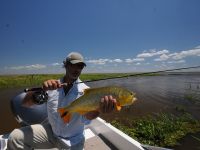 Foto de pesca con mosca