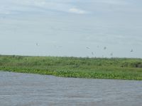 Foto de pesca con mosca