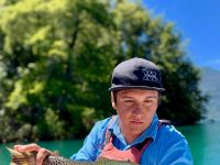 Brown trout of Yelcho lake