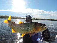 Foto de pesca con mosca