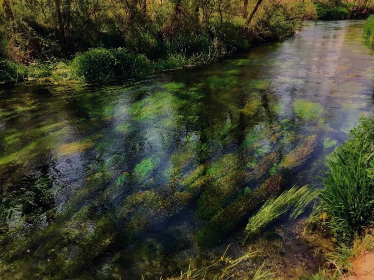Spring creek.

Maki Caenis photo.