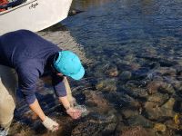 Foto de pesca con mosca