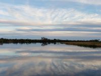 Fly fishing picture