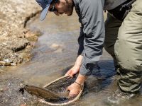 Foto de pesca con mosca