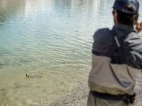 Foto de pesca con mosca