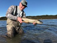 Fly fishing picture