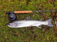 Foto de pesca con mosca