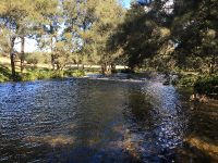 River run Moppy River NSW