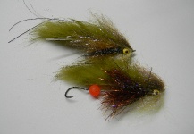 swing sculpin