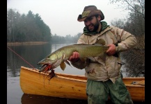 Muskie