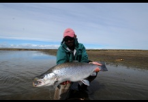 Sea-Trout (Trucha Marrón Anádroma)